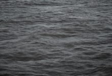 call flow continuity analysis