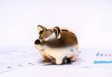 jann mardenborough s financial status