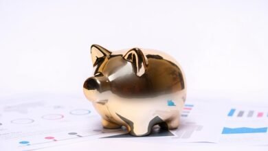 jann mardenborough s financial status