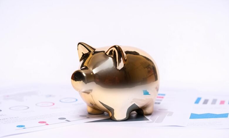 jann mardenborough s financial status