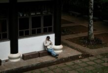 dollar tree mobile access