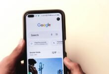 home trotters travel network